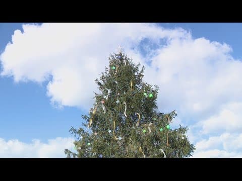 The National Christmas Tree is upright again and ready for Thursday's lighting ceremony