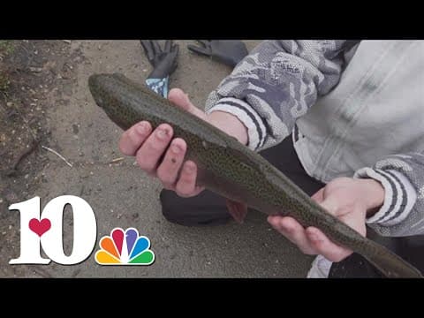 TWRA refills trout in Fountain City Lake as part of annual stocking program
