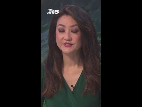 President Trump hints at no backpay for furloughed workers