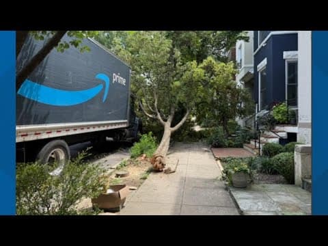 Amazon truck knocks down tree in DC's Bloomingdale neighborhood