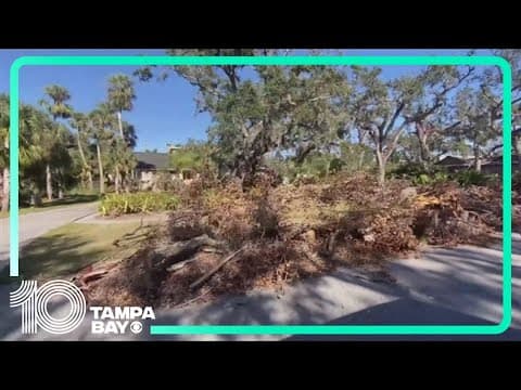 Storm debris collection ending in some Tampa Bay areas