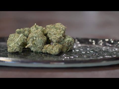 Texas lawmakers discuss bill banning THC