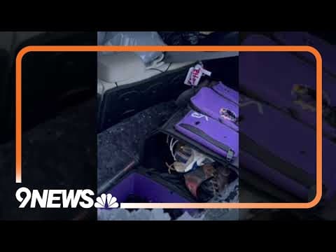 Hail storm damage in Milliken, Colorado