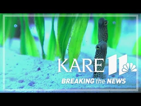 Here's where the animals at SeaQuest Roseville ended up in the Twin Cities and country