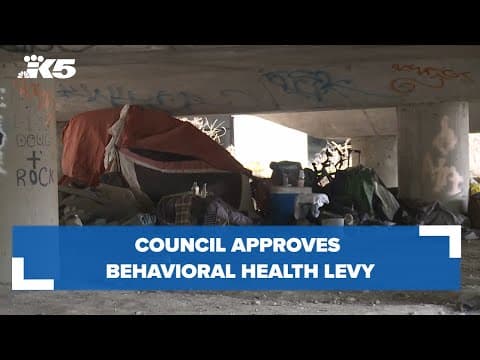 Council approves behavioral health levy