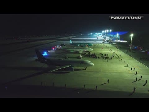 Trump Administration flew hundreds of undocumented migrants to El Salvador despite judge's order