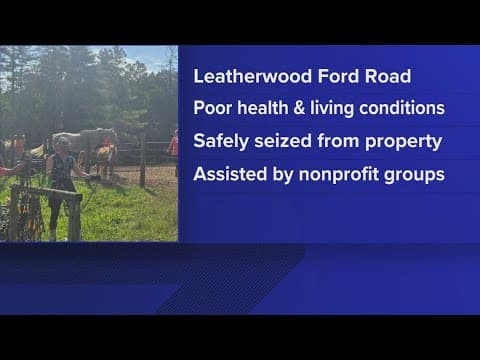 FCSO: Twenty-five horses, 2 ponies rescued in Fentress County after tip of 'severe malnutrition'