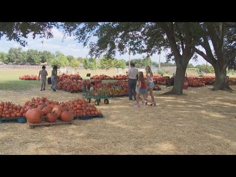 Church pumpkin thieves have a change of heart as they return to confess their sin