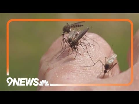Colorado sees West Nile virus surge with cases doubling other states' totals