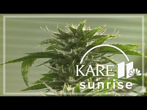 Minnesota House pushes adult-use cannabis vote to Tuesday