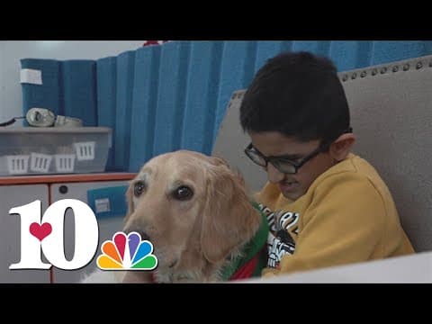East TN schools welcome HABIT therapy dogs to help its students