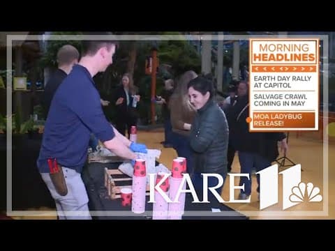 Mall of America releases 144,000 ladybugs