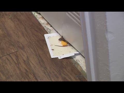 Houston leaders crack down after apartment complaints; management says tenants share responsibility