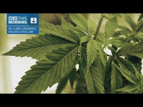 Texas sues the city of Dallas over marijuana decriminalization