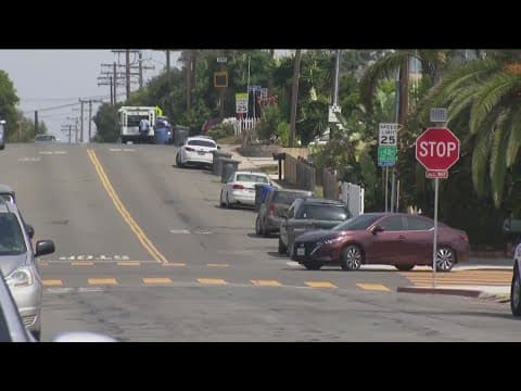 Imperial Beach man accused of fatal hit-and-run