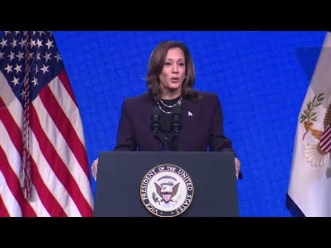 The 2024 presidential race kicks up