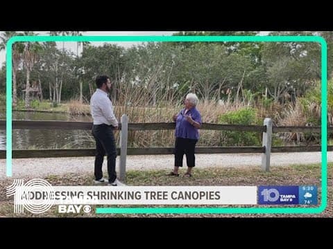 Work underway to reverse trend of fewer trees in Gulfport