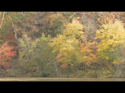 Why fall foliage may be duller than usual
