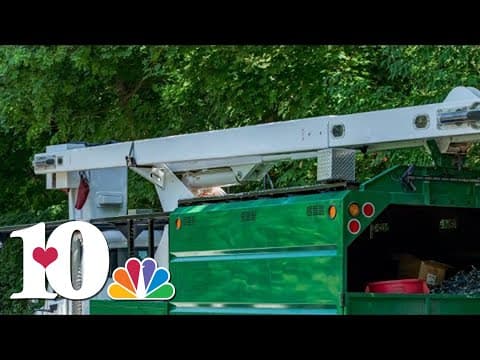 Tree service employee hurt after being shocked by power line while working