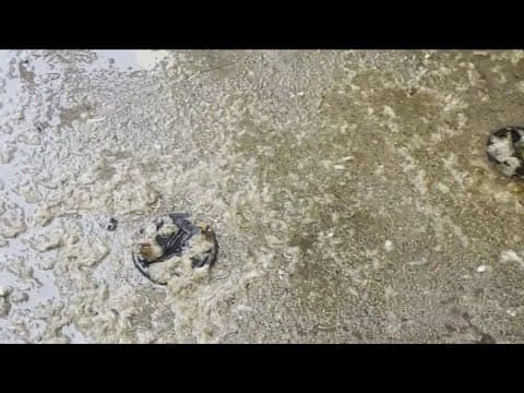 Sea Breeze Gardens Apartments management does not respond to sewage complaints