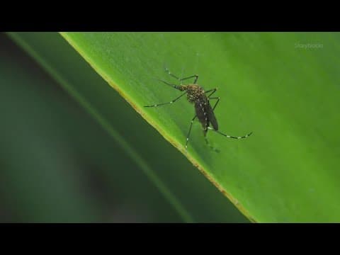 Knox County confirms first two cases of La Crosse virus in kids