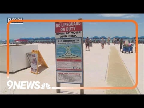 Rip currents, shark attacks mark a deadly start to summer in the water