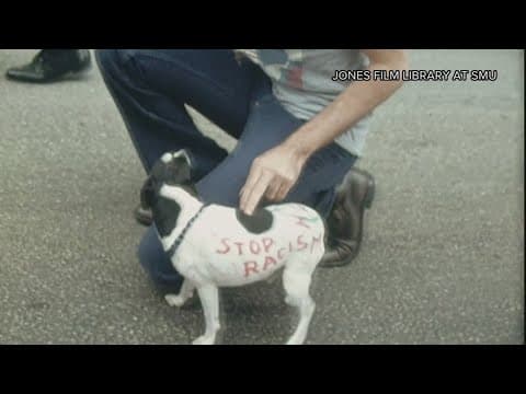 A look back at major protests in Dallas over the years