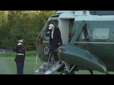 How Americans think President Trump's been doing since taking office