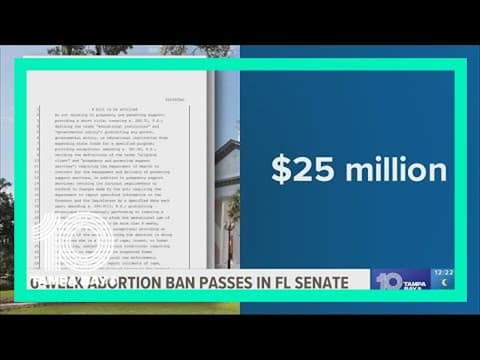 Tampa Bay area health officials remain divided on proposed Florida 6-week abortion ban bill