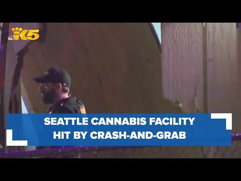 Seattle cannabis facility hit by crash-and-grab despite concrete bollards outside