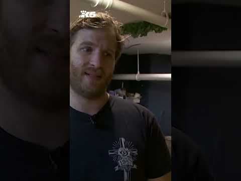 Masked burglars target Ballyhoo Curiosity Shop