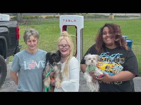 Dog reunited with family after going missing in Houston over 2 years ago