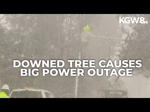 Hundreds out of power after tree crashes into power line in Southwest Portland