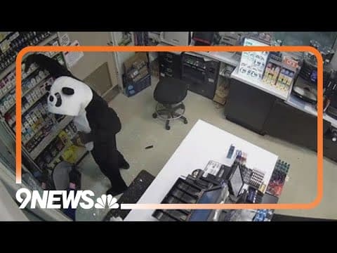 Police look for burglar in panda costume, others involved in Superior gas station thefts