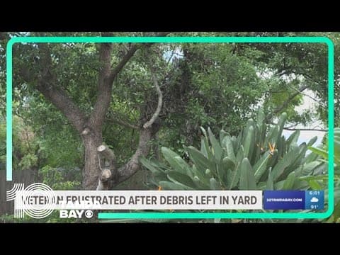 Veteran frustrated after debris from Hurricane Debby is left in his yard