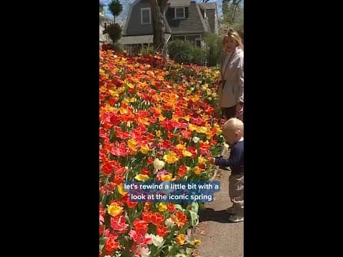 Tulip House in Minnesota listed for sale