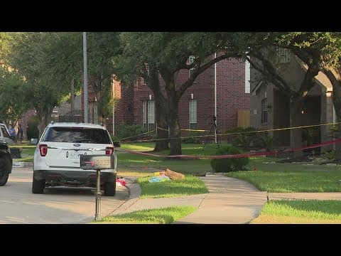 Police: Son stabs mother to death at Sugar Land home