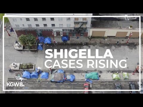 Over 200 cases of Shigella reported in the Portland metro area