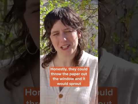 Minneapolis artists plant paper to grow native prairie