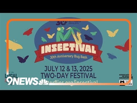 Sunrise Safari: Emperor scorpion