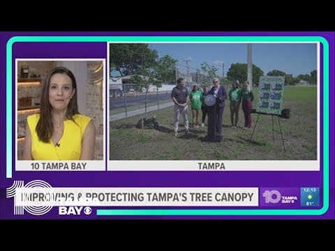 Castor announces new Tampa tree initiatives and tree planting goals