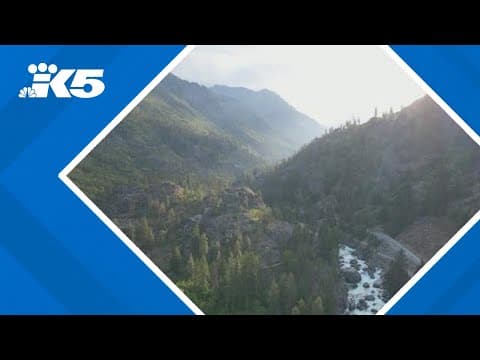 'Case closed': Analyst explains loose ends in Decker case