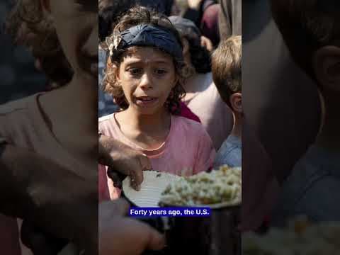 KARE 11's Jana Shortal speaks on the humanitarian crisis in Gaza