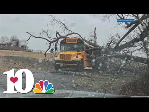 East Tennessee storms bring down trees across area, including one on top of Sevier Co. school bus