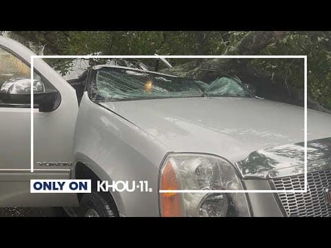 A woman pulled a man to safety after his truck was crushed by a tree. Now, he's doing something for