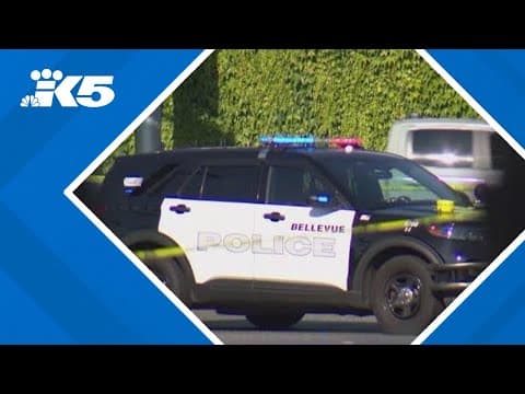 Suspect in custody after shooting outside Bellevue Best Buy