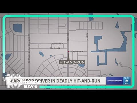 Police looking for woman who may have information on deadly St. Pete hit-and-run