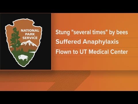 Woman rushed to hospital after being stung by bees in Great Smoky Mountains