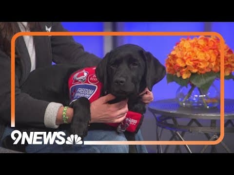 Colorado Avalanche team dog comes onto 9NEWS Mornings