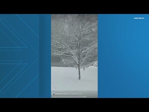 PHOTOS: A look at the snow across DC, Maryland and Virginia